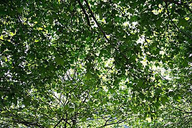 TGS2022：国产肉鸽战棋游戏《尼罗河勇士2》登录NS