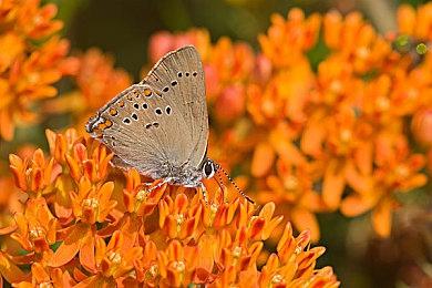 回合制战术RPG《迷瘴纪事》5月23日推出