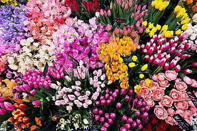 恋爱养成游戏《恶役大小姐不干啦》Steam页面上线 明年发售